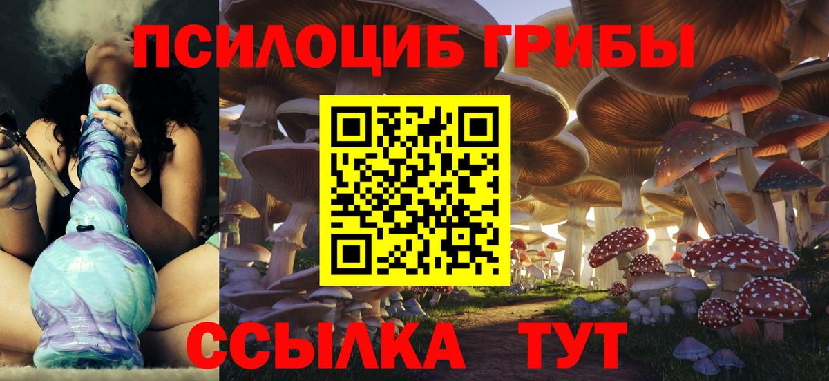 Коломна  Галлюциногенные грибы Magic Shrooms  цена   Вход с VPN 